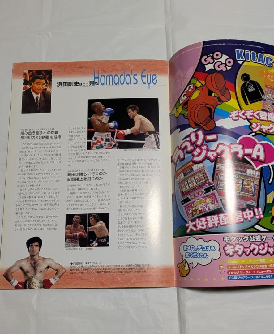 ボクシング パンフレット 長谷川穂積×ファッシオ他 Boxing Program