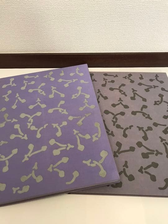 朝倉響子彫塑集　写真集　光と波と　奈良原一高　2冊組