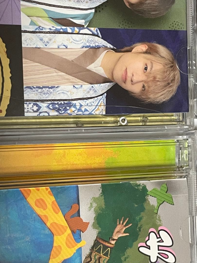 パンダドラゴン CD DVDセット