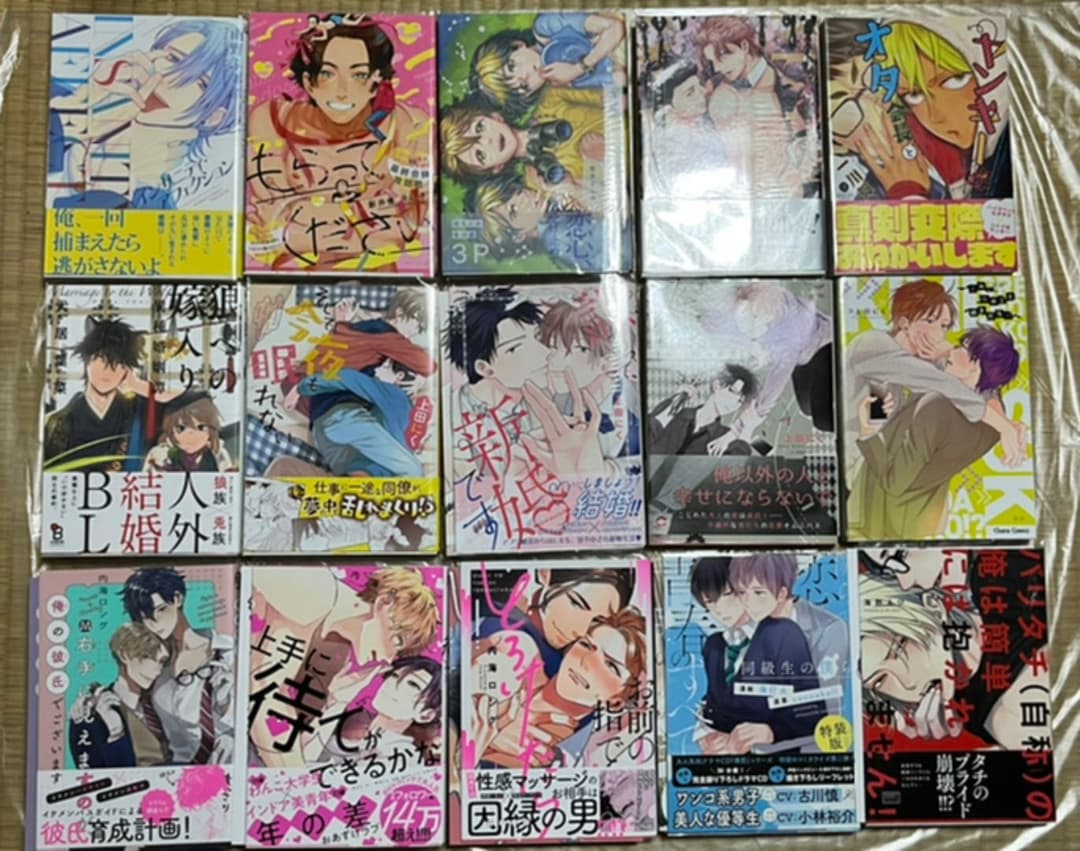 ②BL本まとめ売り　ボーイズラブコミックス　BOYS LOVE COMICS