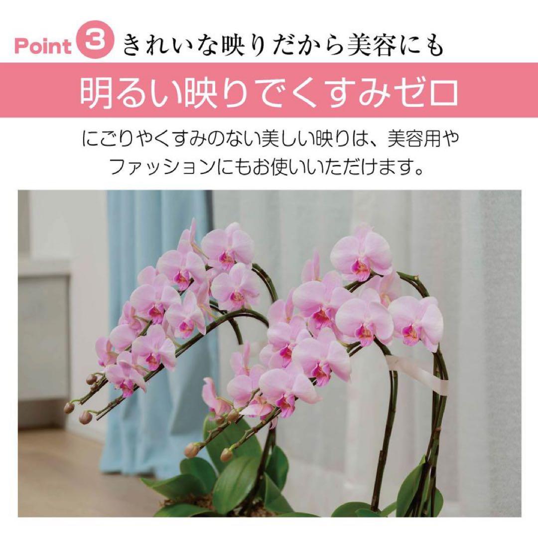 割れないフィルムミラー 姿見 白 160cm × 100cmキャスター付き 軽量