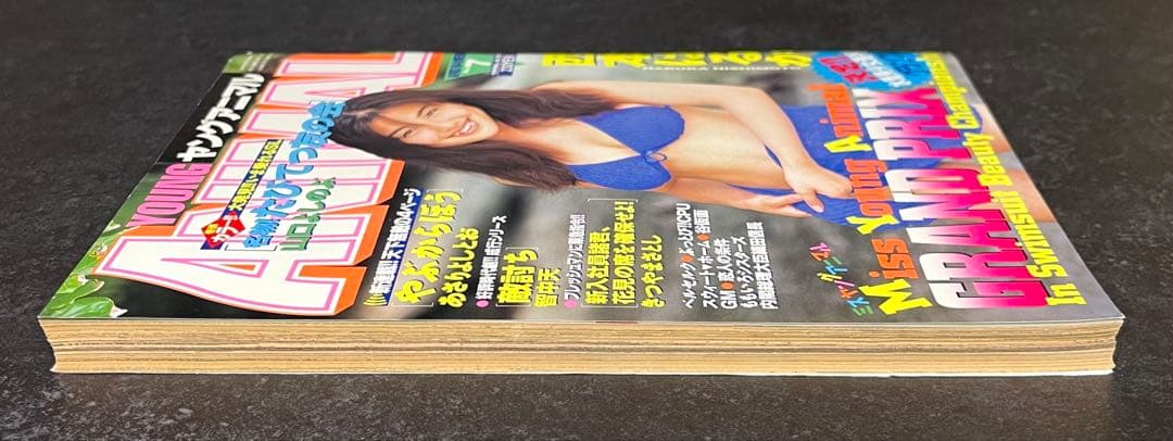 ●ヤングアニマル 1996年 No.7 ●ベルセルク 第76話 三浦建太郎