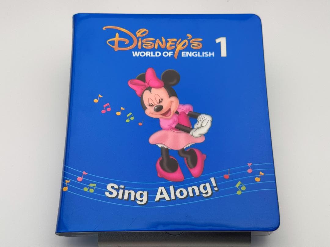 大幅値下！ ディズニー SingAlong DVD 絵本 ガイド 箱 おまけ付