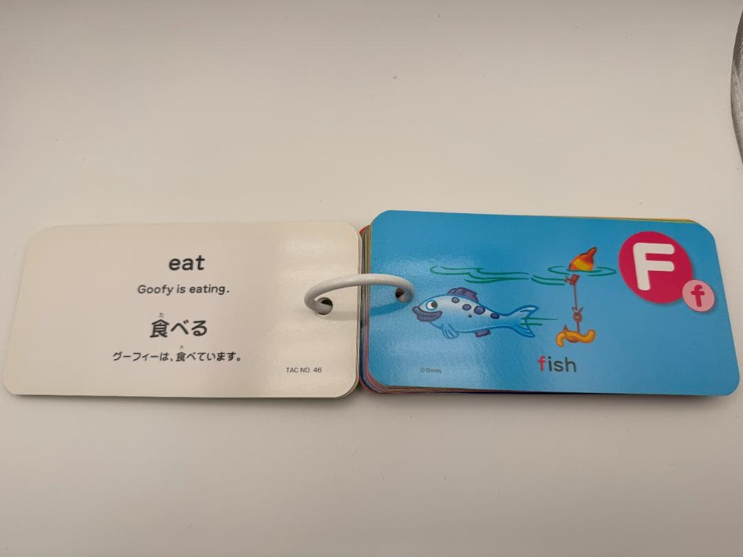 大幅値下！ ディズニー SingAlong DVD 絵本 ガイド 箱 おまけ付