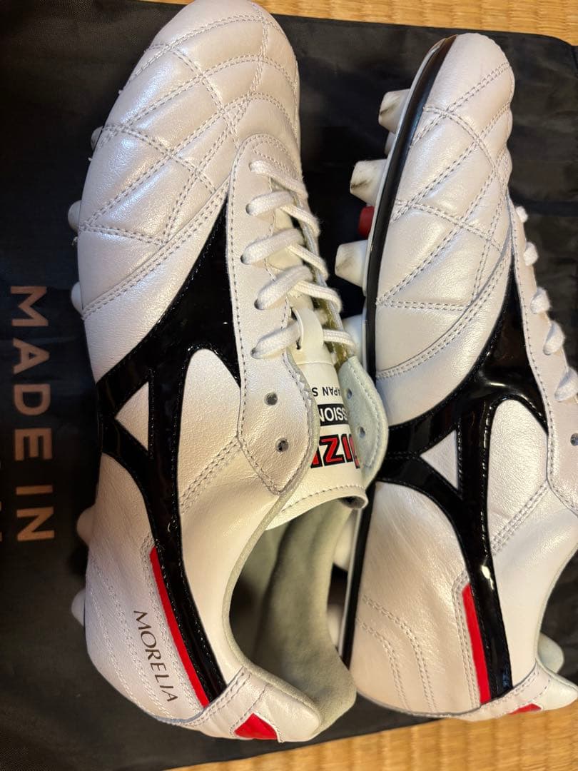 A*a様 モレリア 2 JAPAN(ショートタン＆クロスステッチ) 24cm