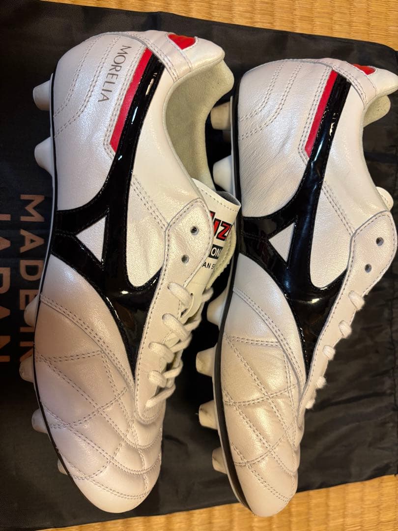 A*a様 モレリア 2 JAPAN(ショートタン＆クロスステッチ) 24cm