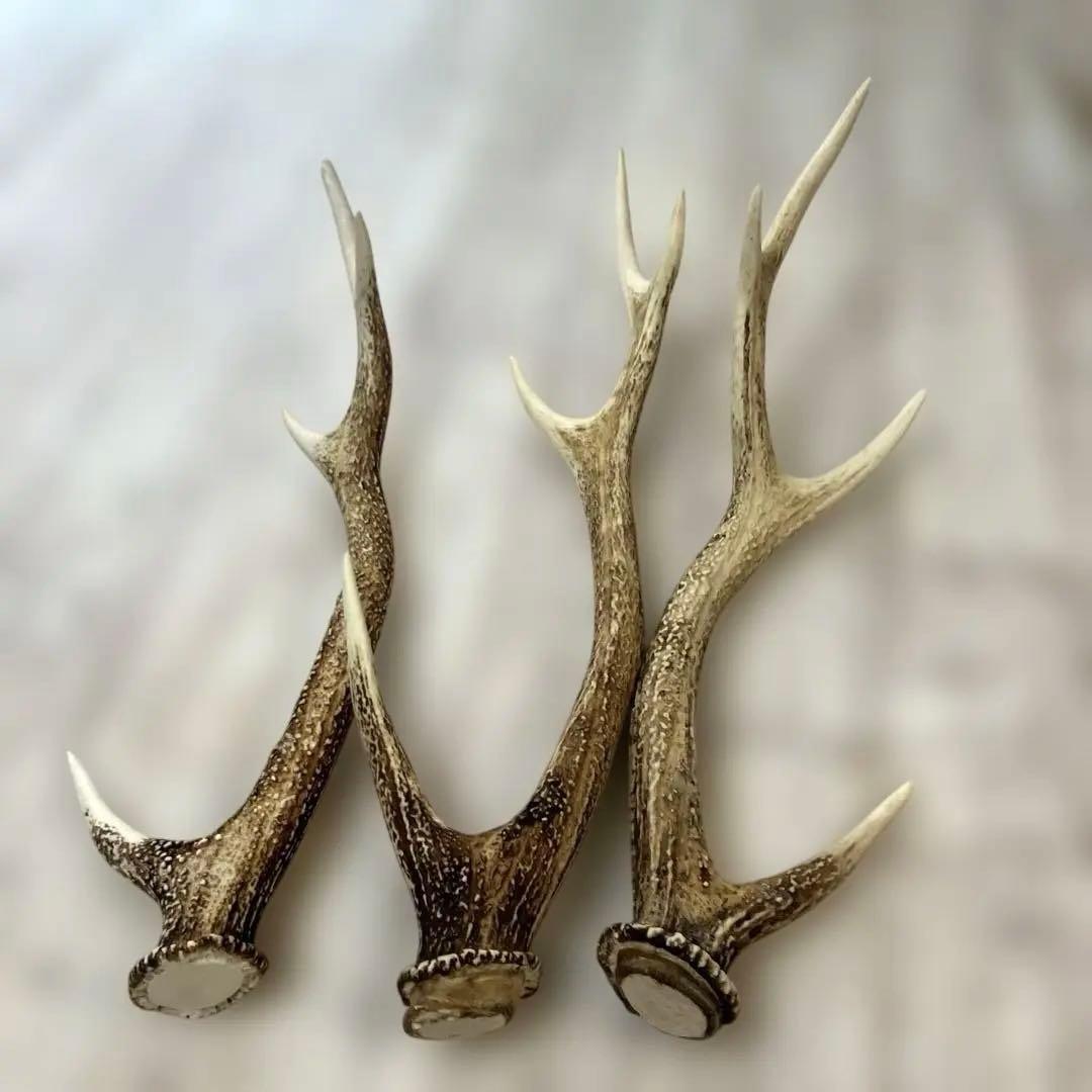 鹿の角 まとめて9本セット　日本鹿
