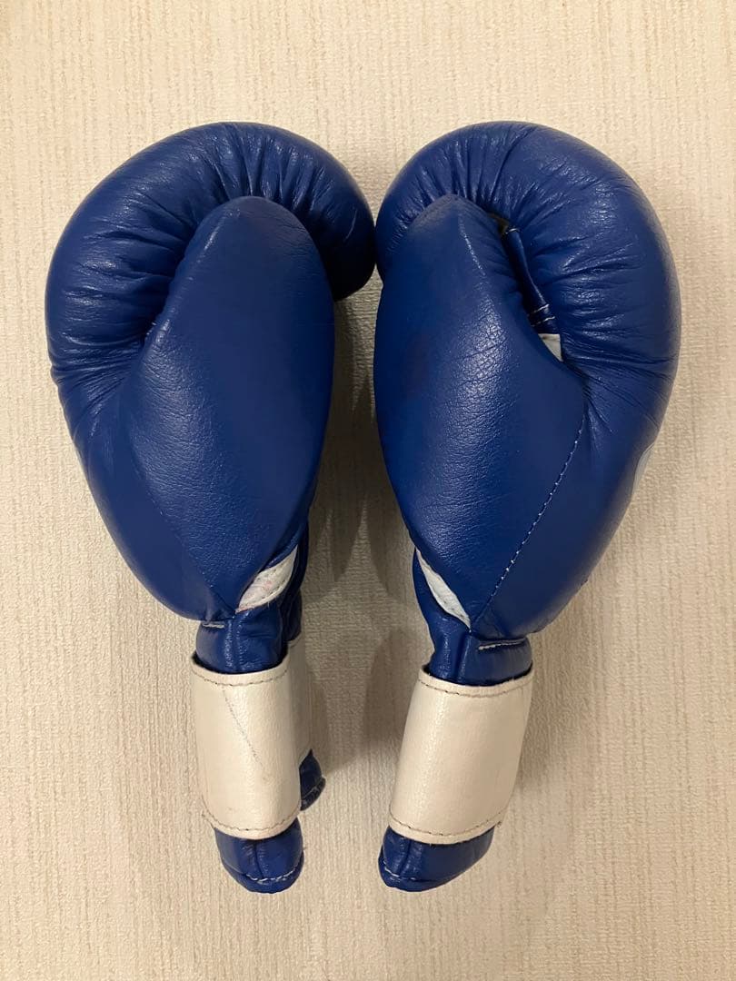 winning ウィニングボクシンググローブ ブルー 12オンス AM-12
