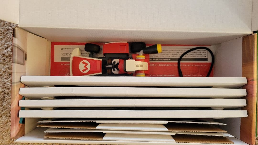 マリオカート ライブ ホームサーキット　マリオ　ルイージ