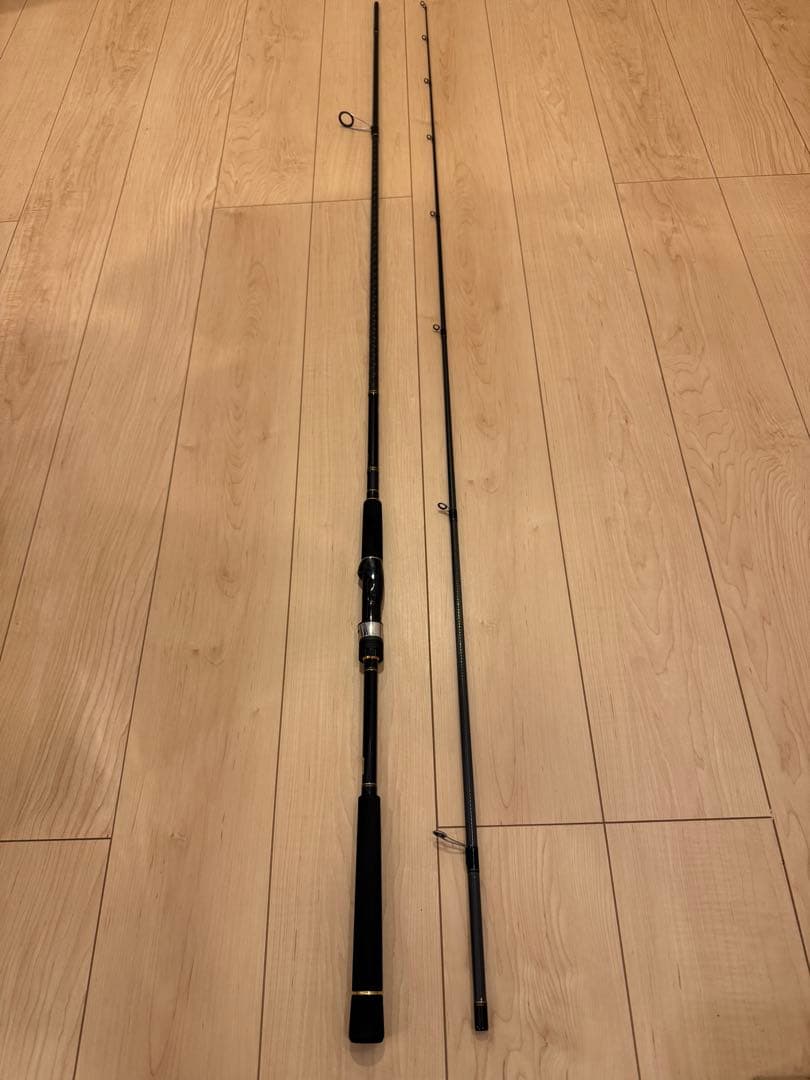 ダイワ 21 シーバスハンターX 106M