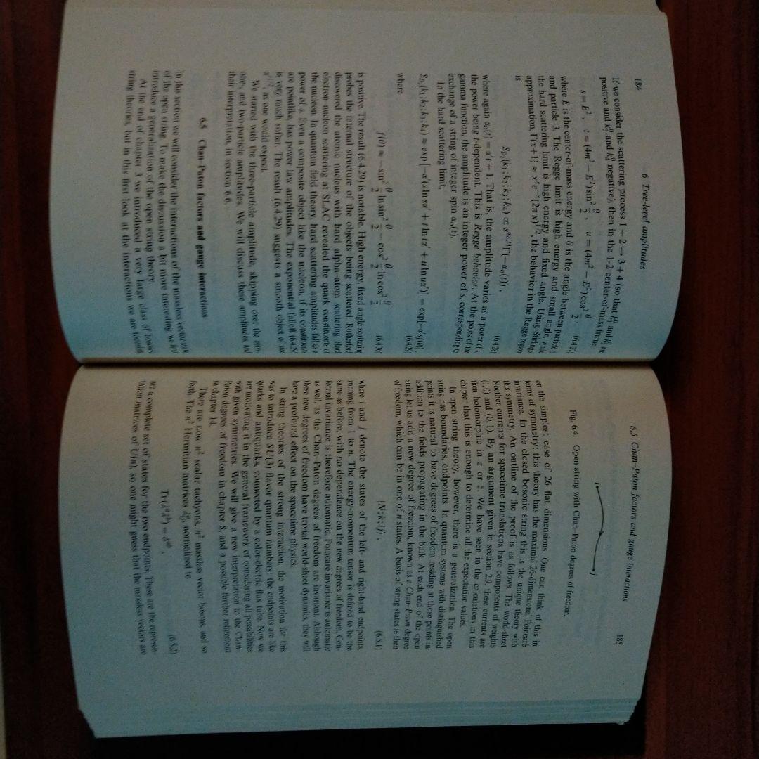 洋書 STRING THEORY Volume 1