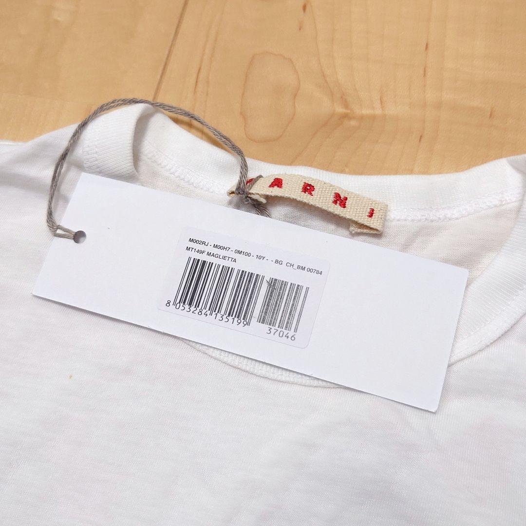 マルニ　maruni Tシャツ