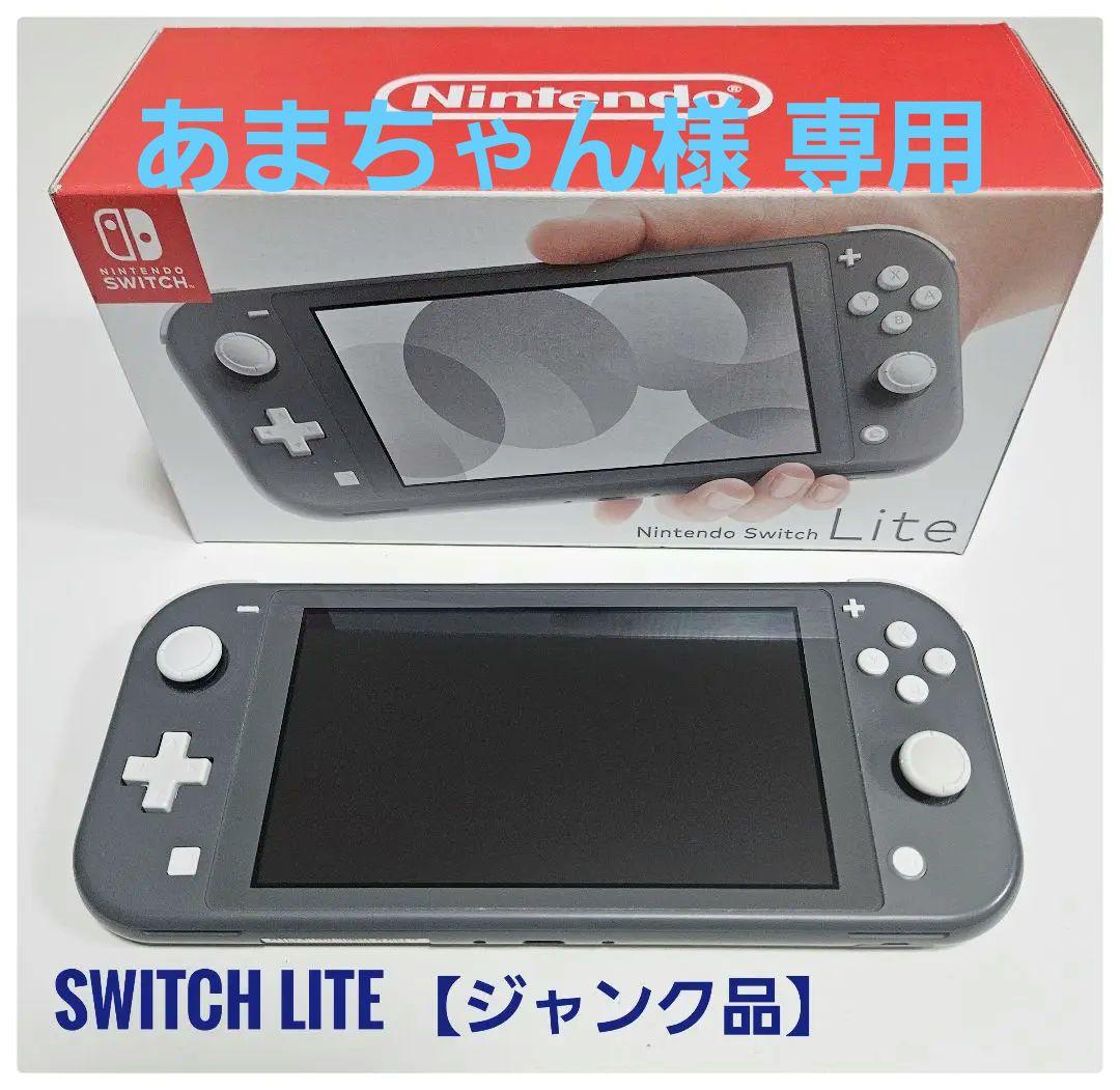 SwitchLight 本体 ジャンク品 訳有り