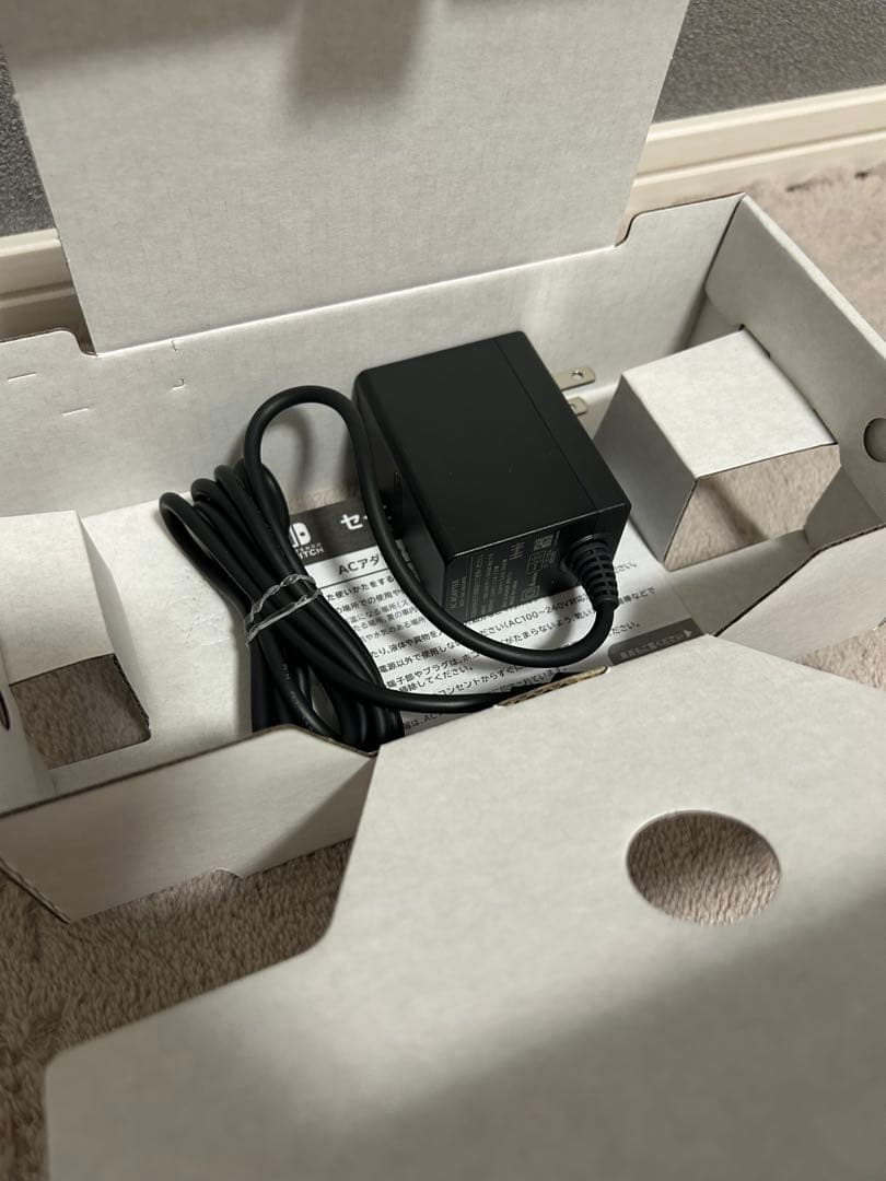 Nintendo Switch Lite あつまれ どうぶつの森デザイン 本体