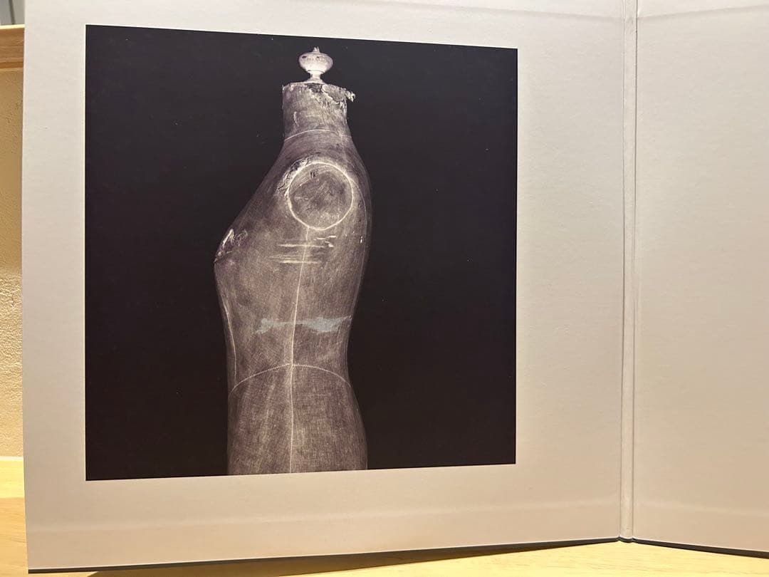 illion P.Y.L レコード　アナログ　野田洋次郎　RADWIMPS