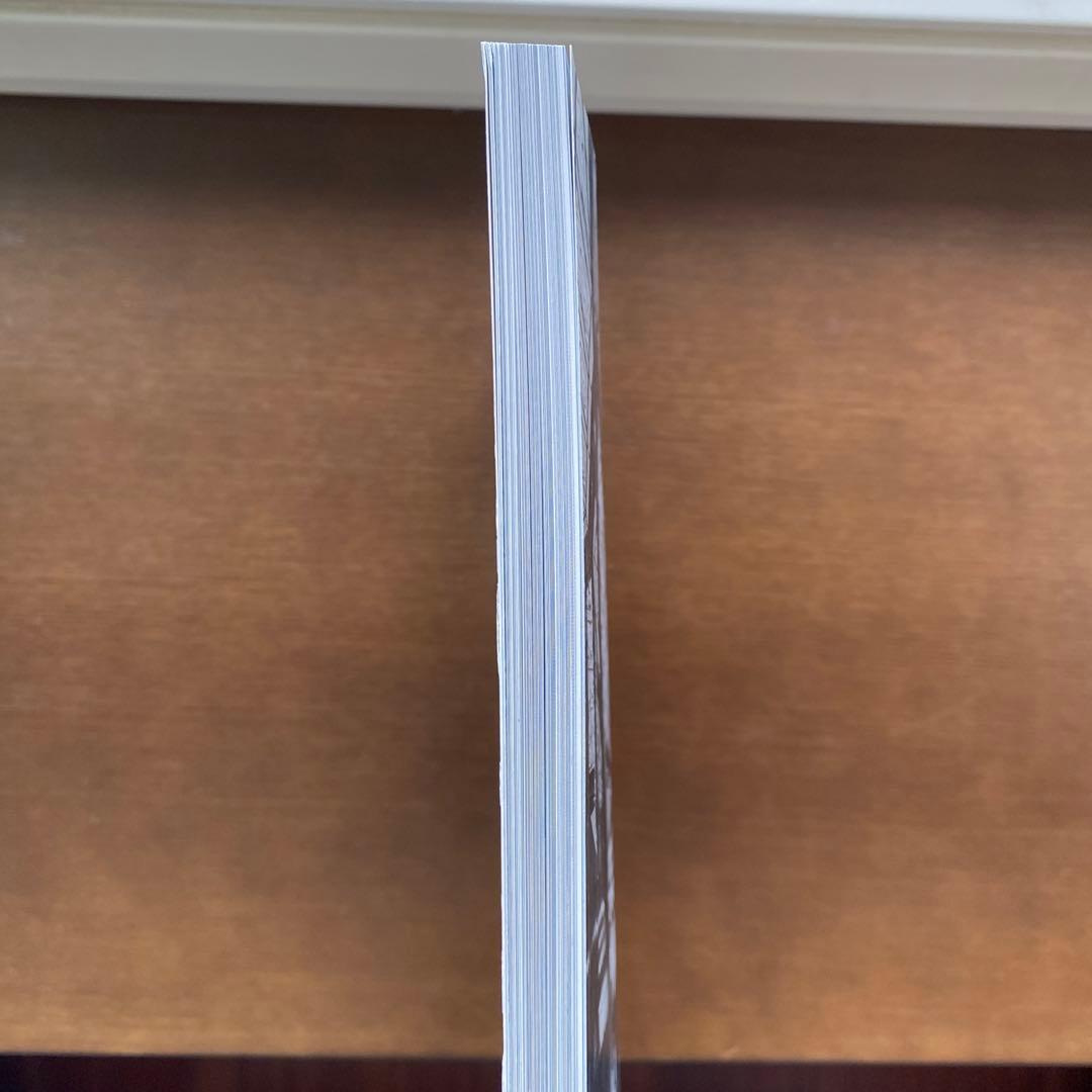 アドルフ・ロース　インテリアから都市まで　a+u 573号