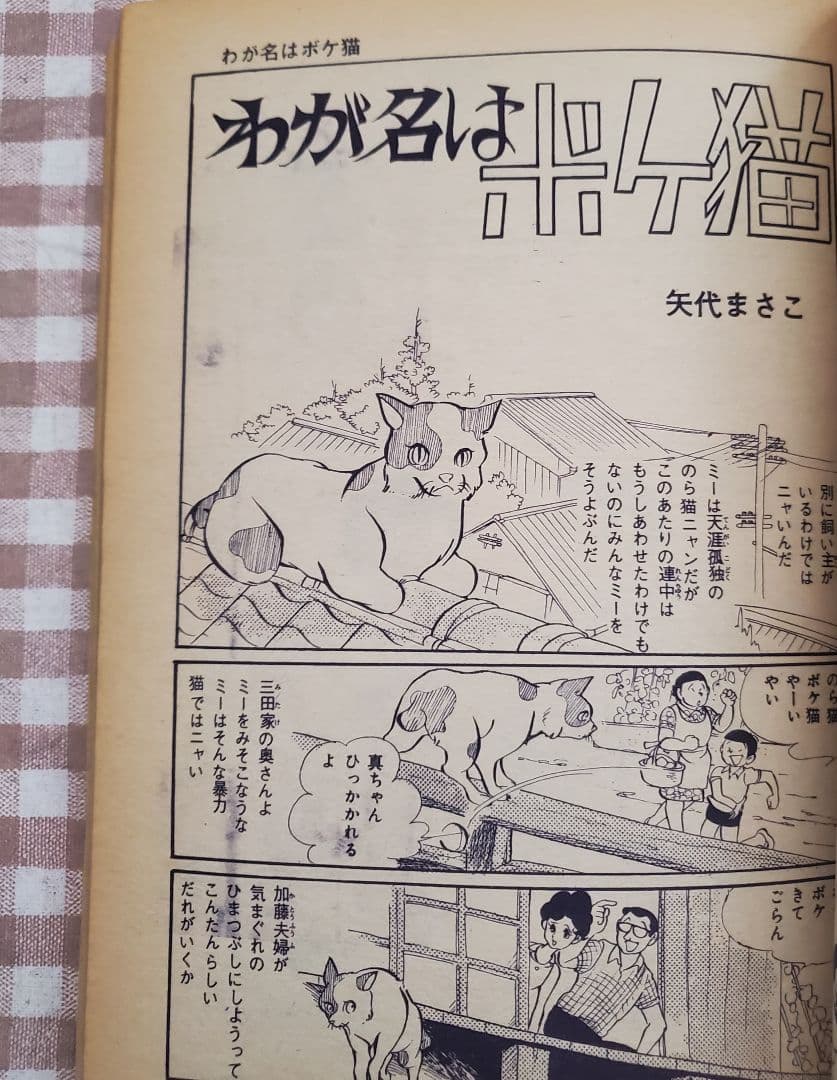 新春セール！ＣＯＭ増刊号「ノアをさがして＊矢代まさこ特集」樹村みのり作品併載