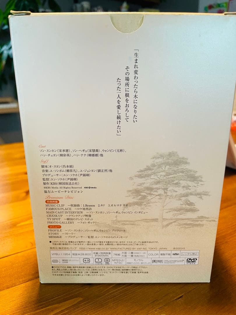 秋の童話 DVD 6枚組 Box特典付き 韓流 人気 テレビドラマ