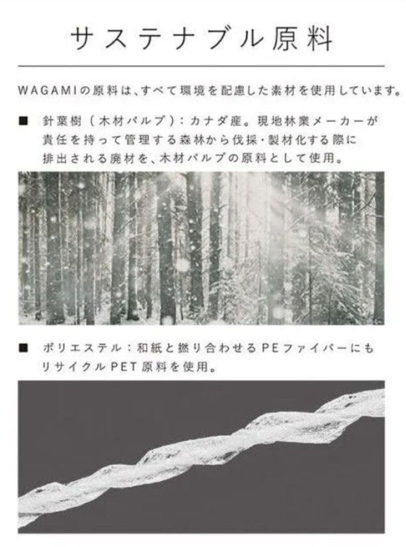 【SUKALA】 WAGAMI ブラトップアシンメトリタグ有り