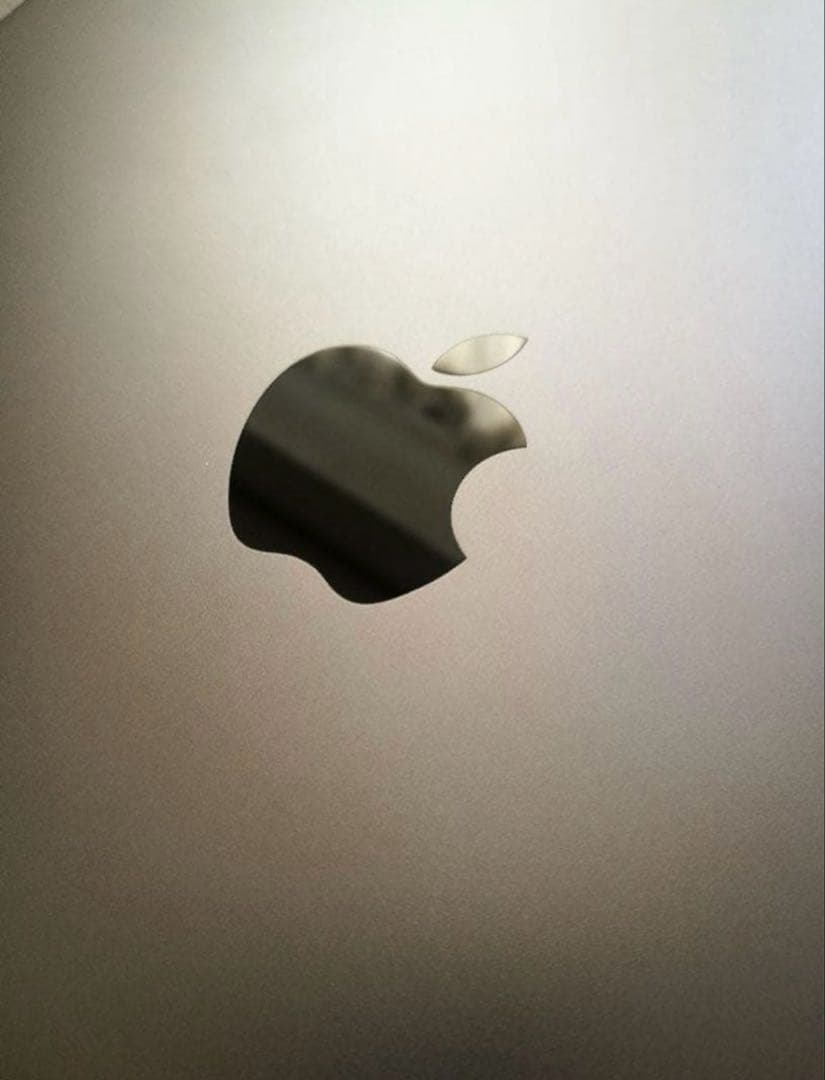 iPad Airスペースグレー256GB + Apple Pencilセット！