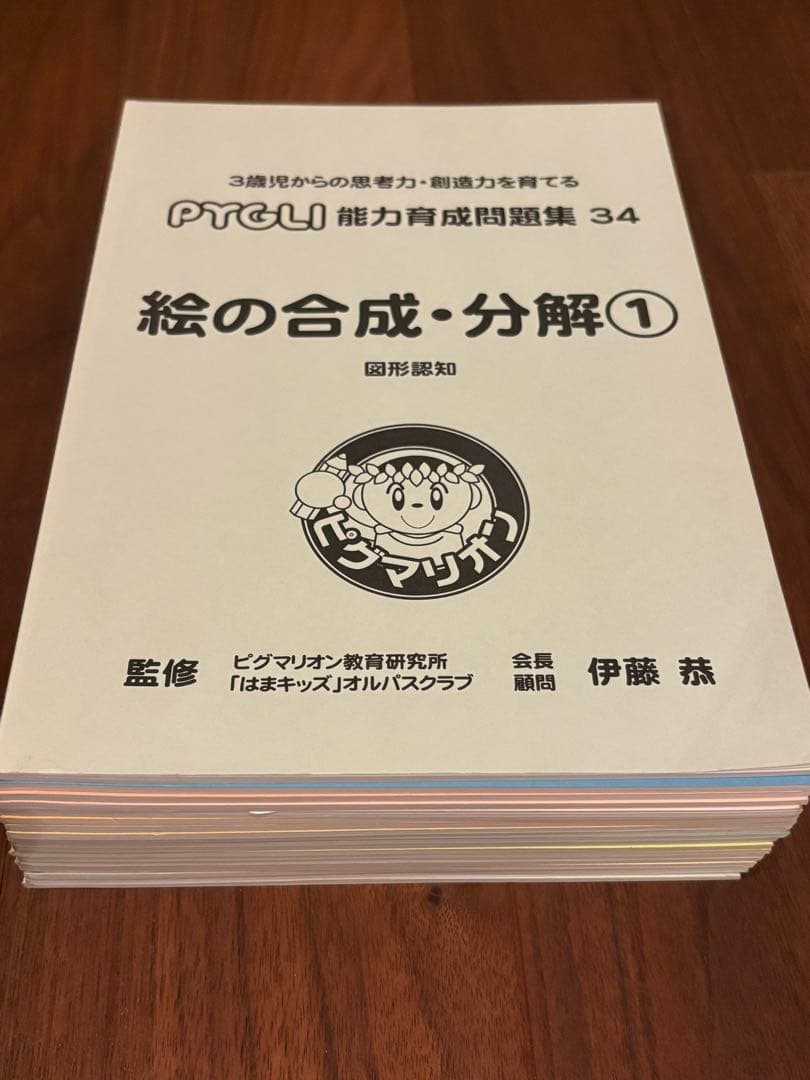 ピグマリオン PYGLI 能力育成問題集 19冊セット
