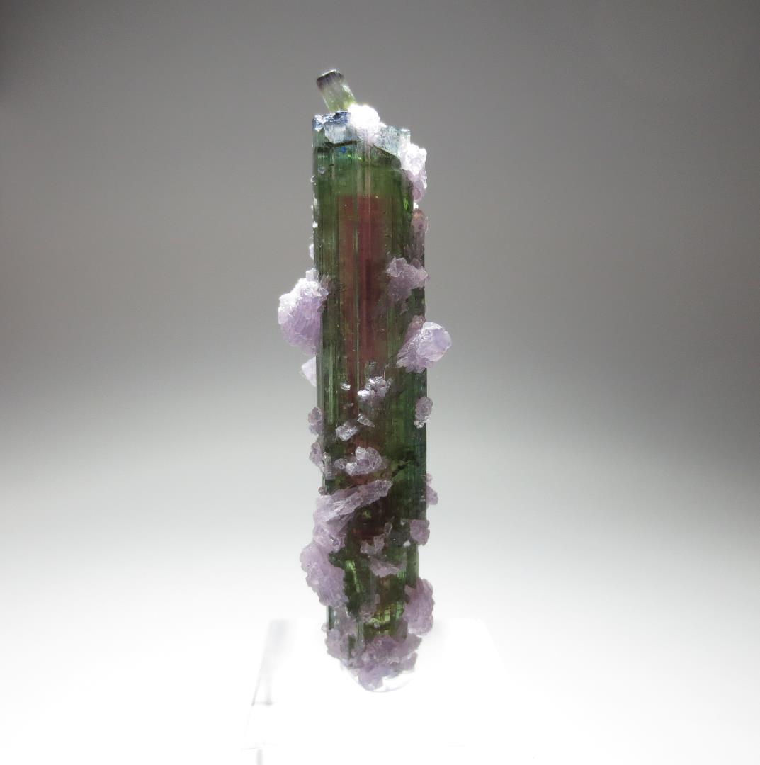 アリカンガ鉱山産 ウォーターメロントルマリン&レピドライト【鉱物標本】