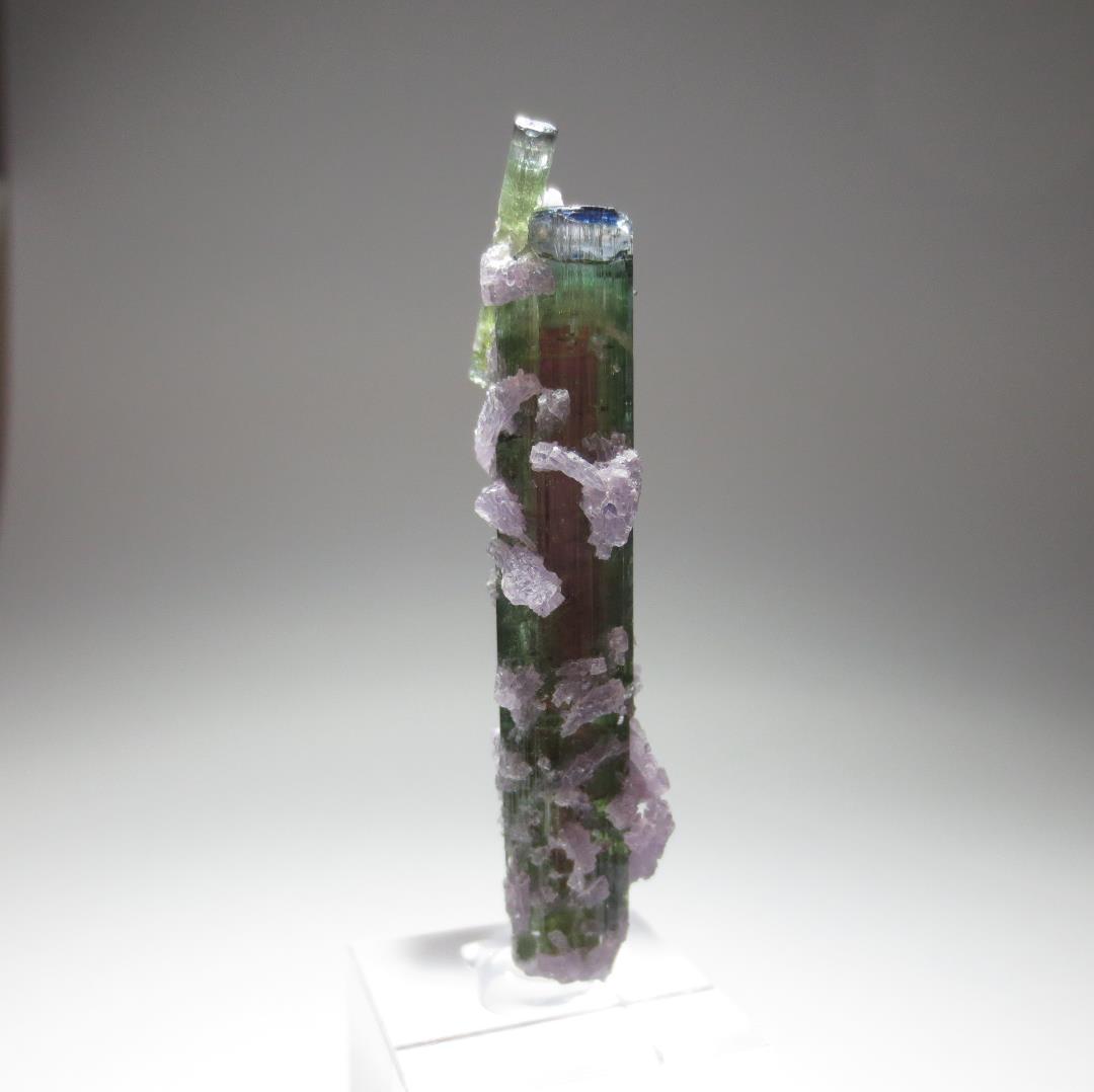 アリカンガ鉱山産 ウォーターメロントルマリン&レピドライト【鉱物標本】