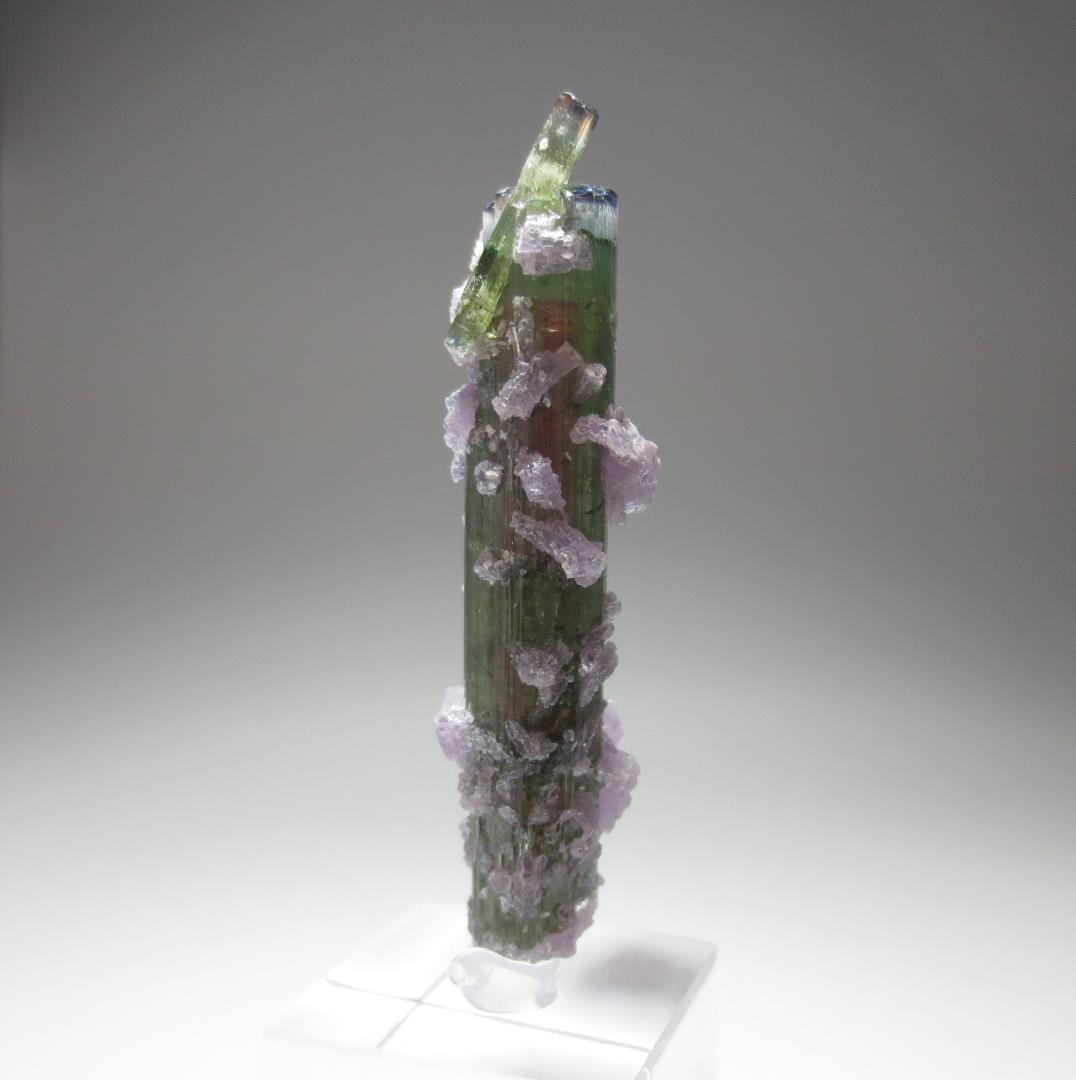 アリカンガ鉱山産 ウォーターメロントルマリン&レピドライト【鉱物標本】