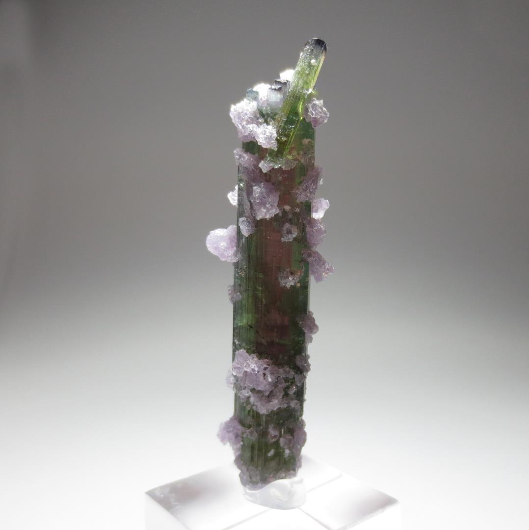 アリカンガ鉱山産 ウォーターメロントルマリン&レピドライト【鉱物標本】