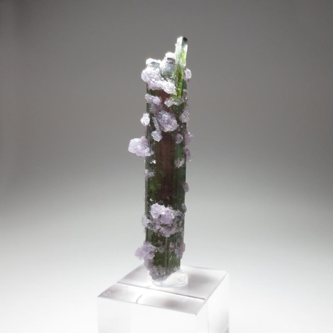 アリカンガ鉱山産 ウォーターメロントルマリン&レピドライト【鉱物標本】