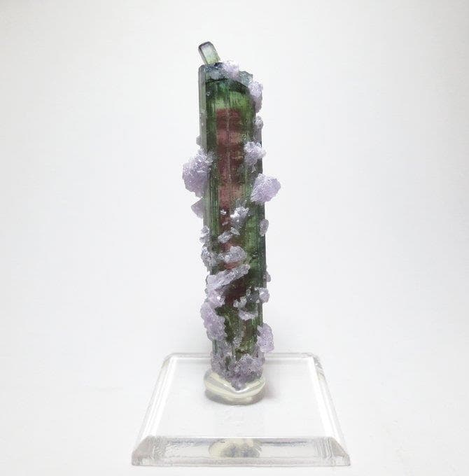 アリカンガ鉱山産 ウォーターメロントルマリン&レピドライト【鉱物標本】