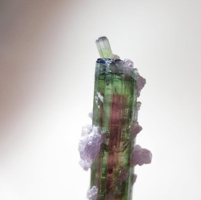 アリカンガ鉱山産 ウォーターメロントルマリン&レピドライト【鉱物標本】