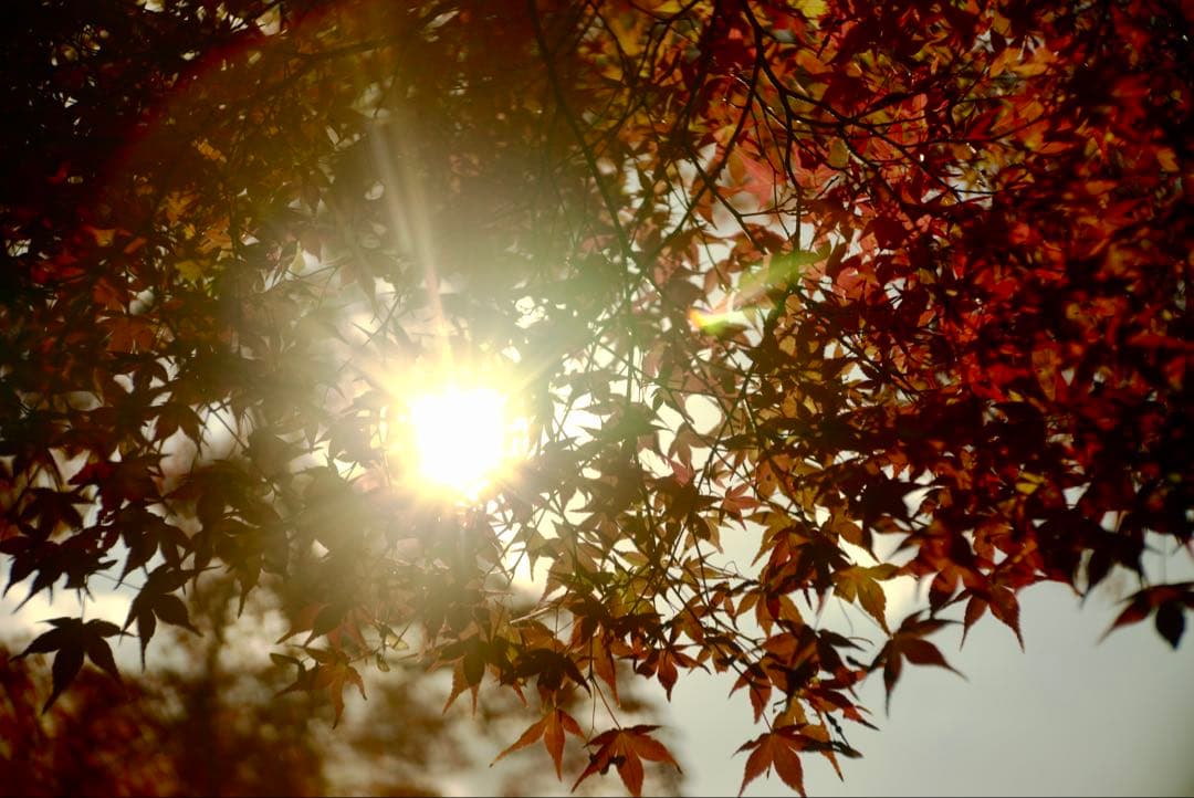 銘レンズFujinon 45mm Fujinon1.8 和製ズミクロン