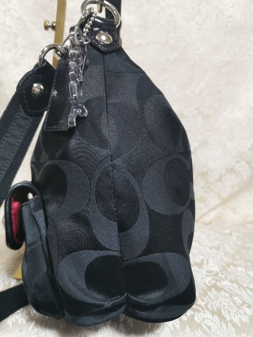 美品　COACH　ショルダーバッグ　poppy　2way　大容量　16495