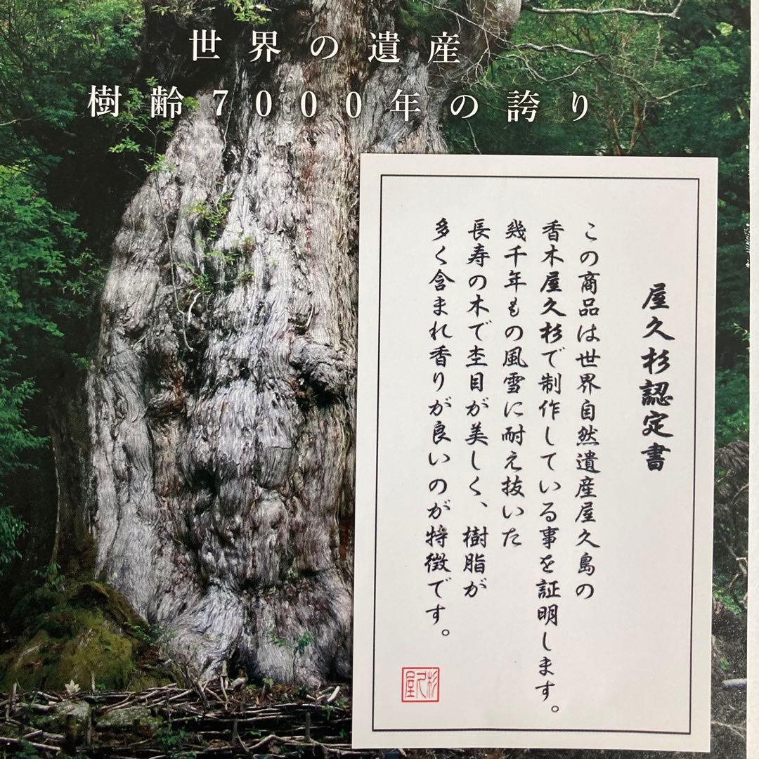 精麻と古代樹たちのブレスレット【杜の守り神】