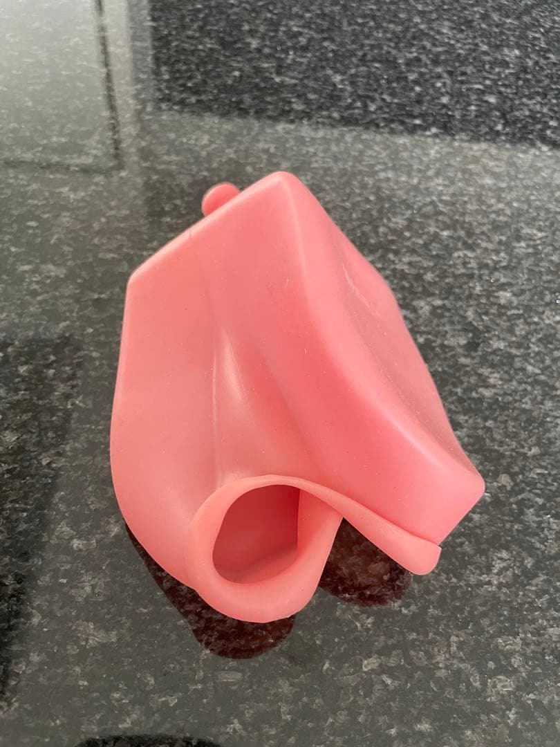 NISSIN 顎模型 ニッシン