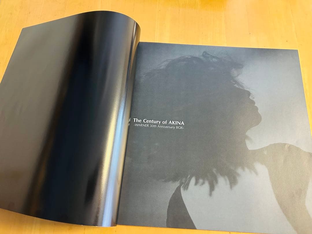 中森明菜 The Century of AKINA 30周年BOX