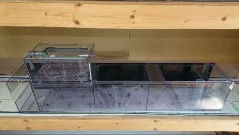 ブーメタル　120アクリル水槽用　上部フィルター　接続ホース付き