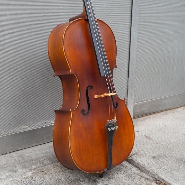 チェロ エントリーモデル Hallstatt ハルシュタット HC-700