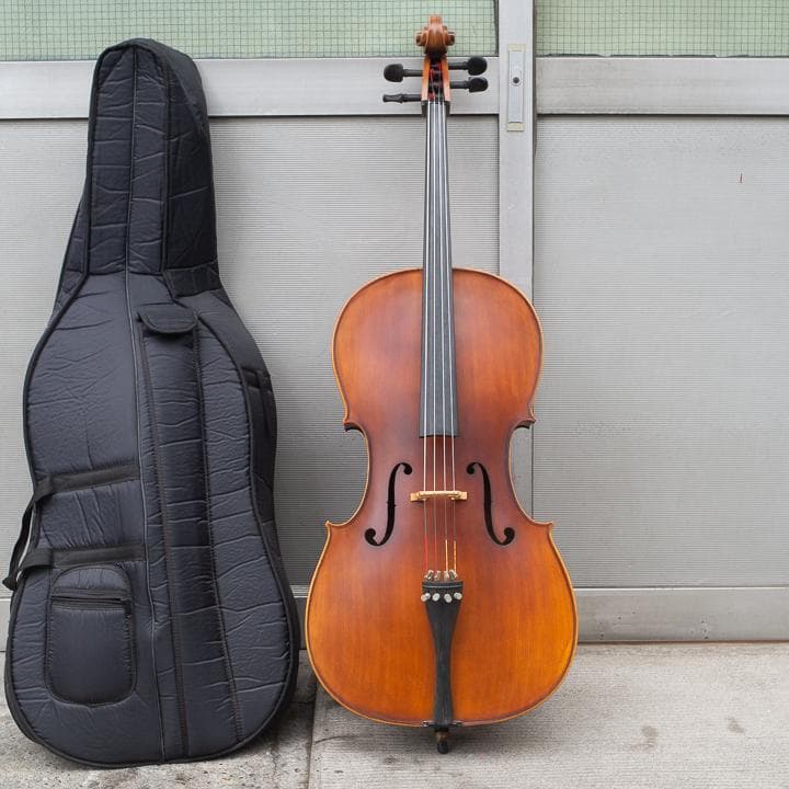 チェロ エントリーモデル Hallstatt ハルシュタット HC-700