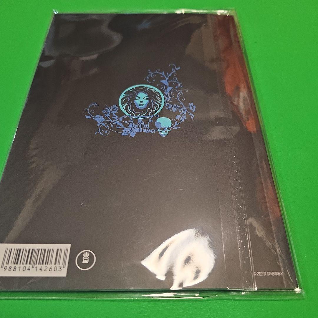 Disney Haunted Mansion パンフレット