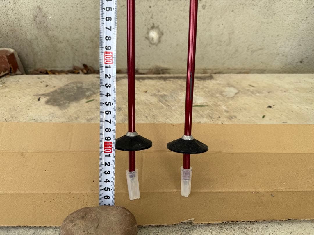 SALOMON Xwing 8 スキー板 166cm ストック付き