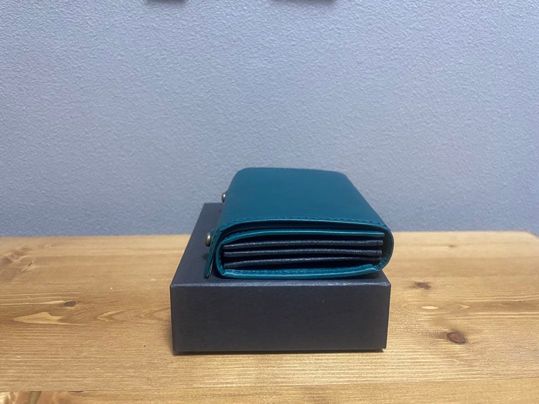 m+　エムピウ　MILLEFOGLIE2 Pig　オルテンシアx黒