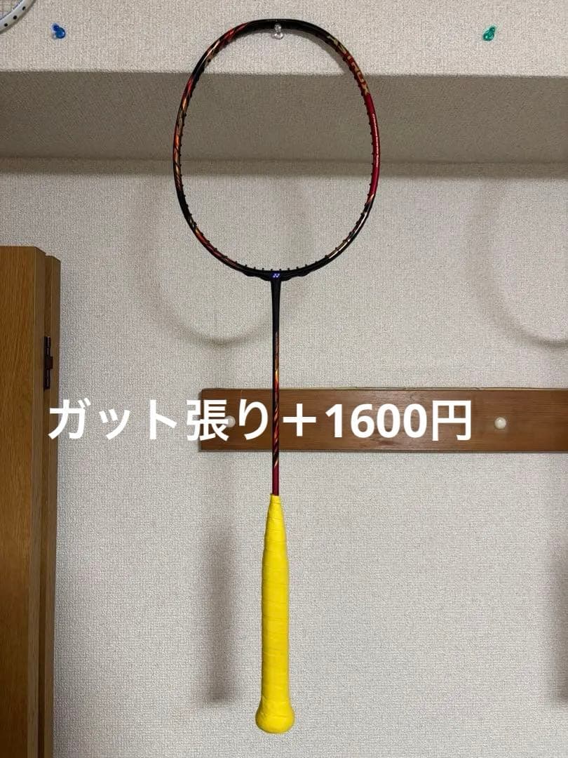 【毎日値下げ】アストロクス99プロ　4UG6