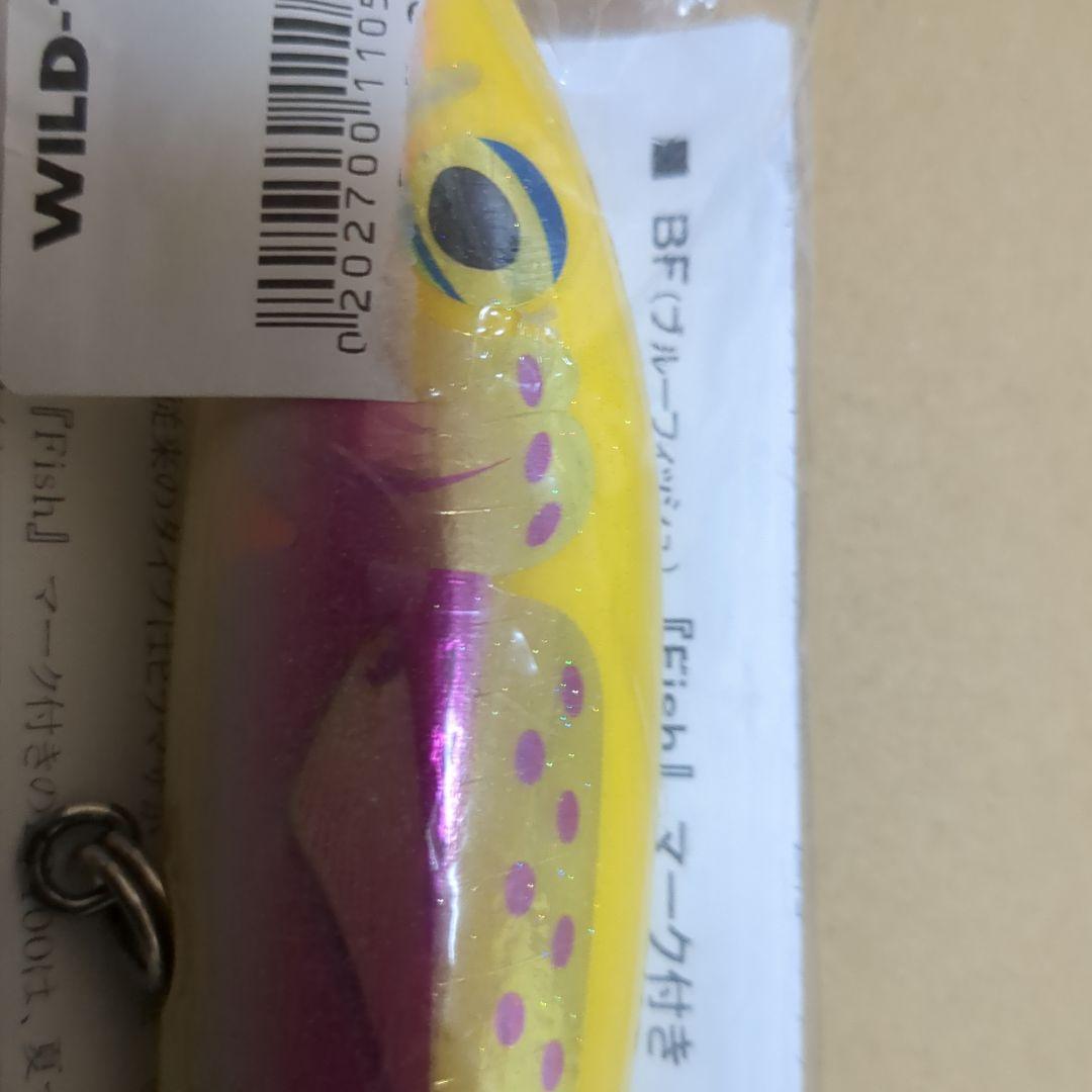 カーペンターブルーフィッシュ１００