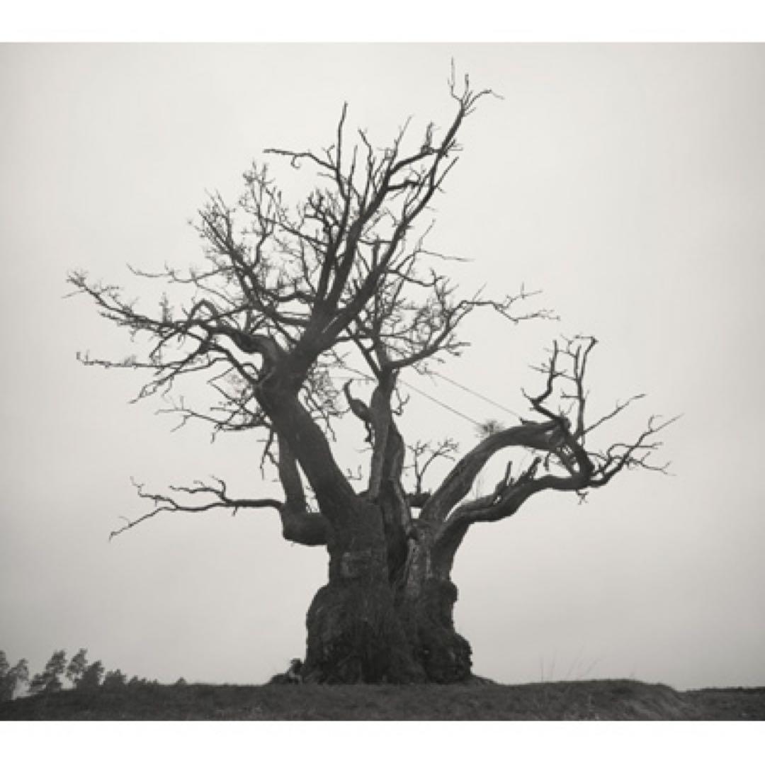 SEKAINOOWARI 2010-2019完全生産限定プレミアムBOX特典付き