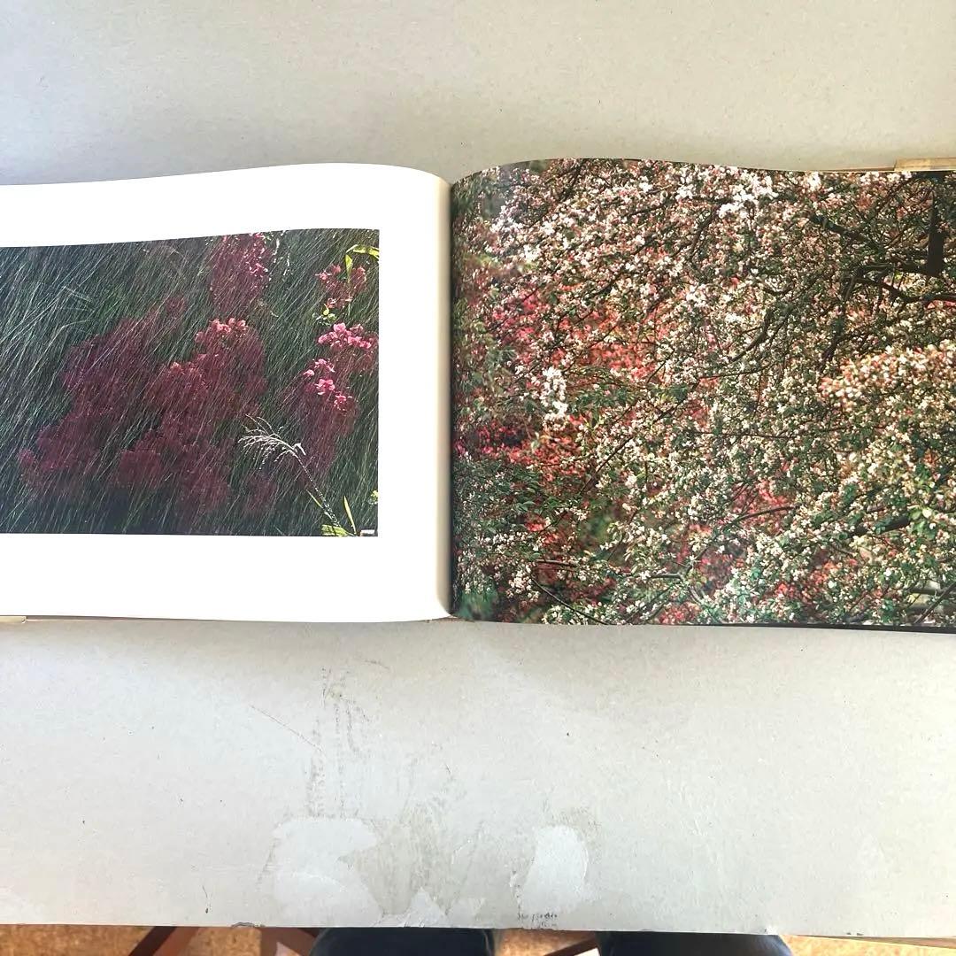 巨匠エルンストハースの写真集2冊組