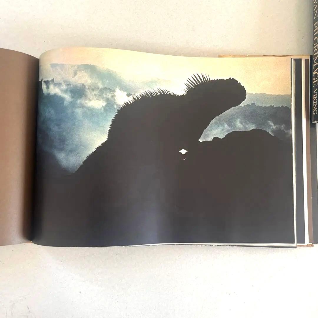 巨匠エルンストハースの写真集2冊組