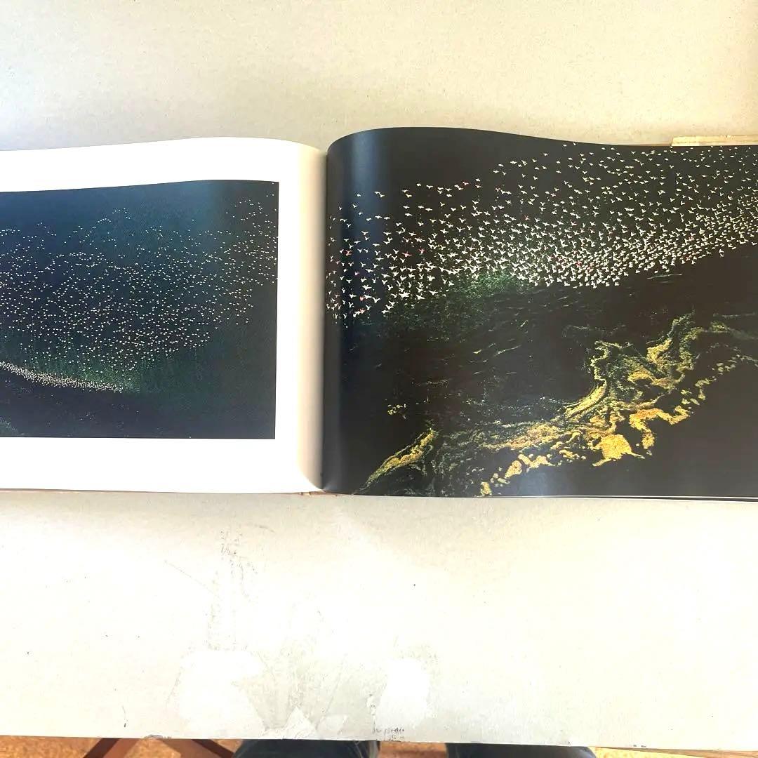 巨匠エルンストハースの写真集2冊組