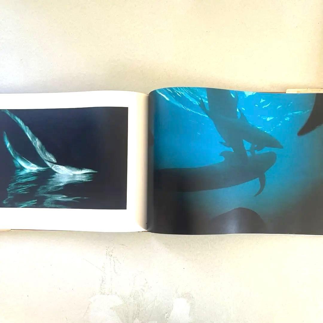 巨匠エルンストハースの写真集2冊組